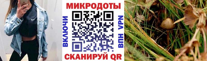 где купить   Кукмор  Псилоцибиновые грибы MAGIC MUSHROOMS 